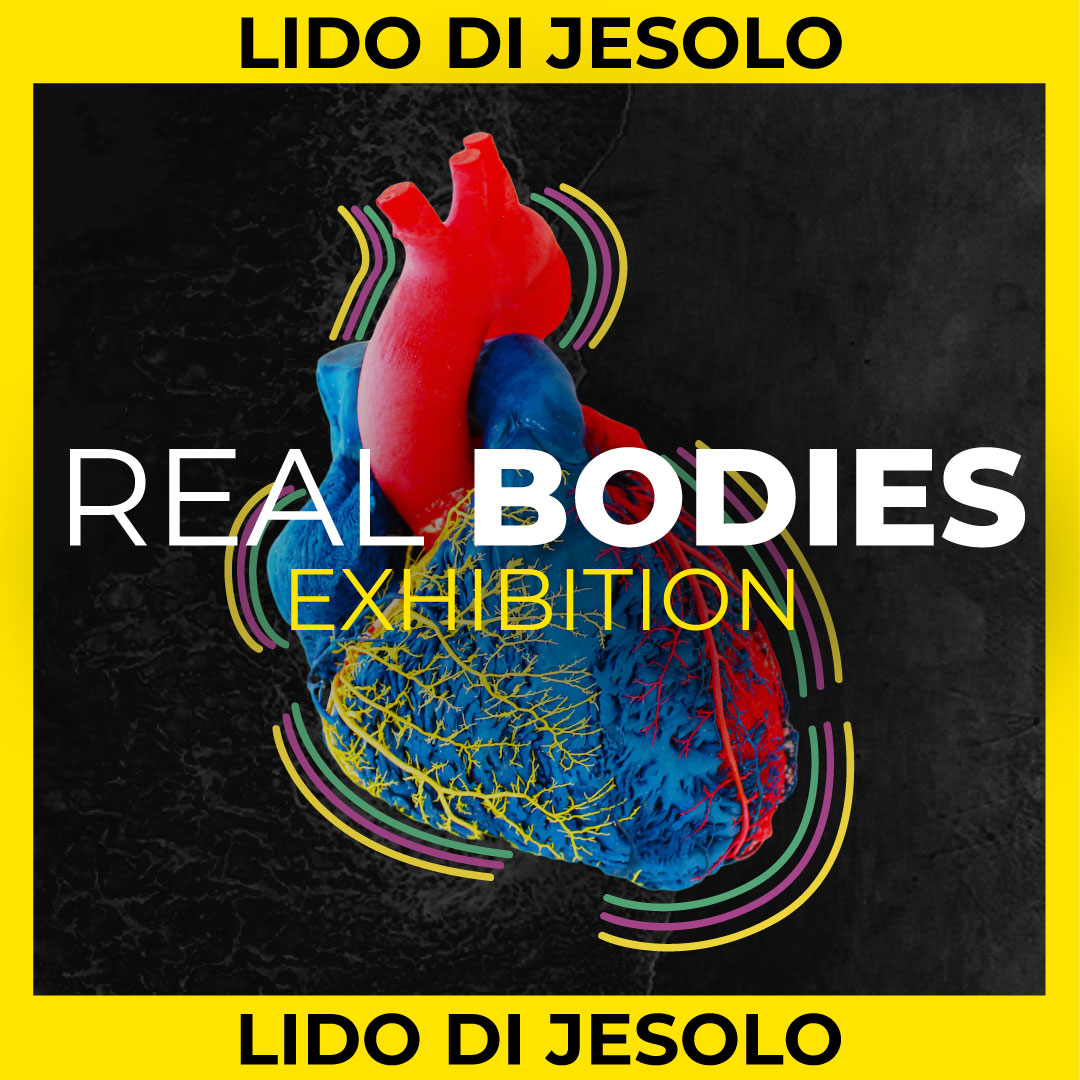 Real Bodies Catania - Italmostre